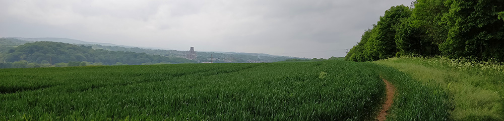 View of Durham cathedral over a field