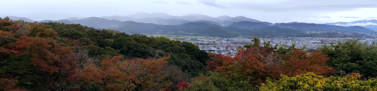 Mountain range behind trees in Kyoto.